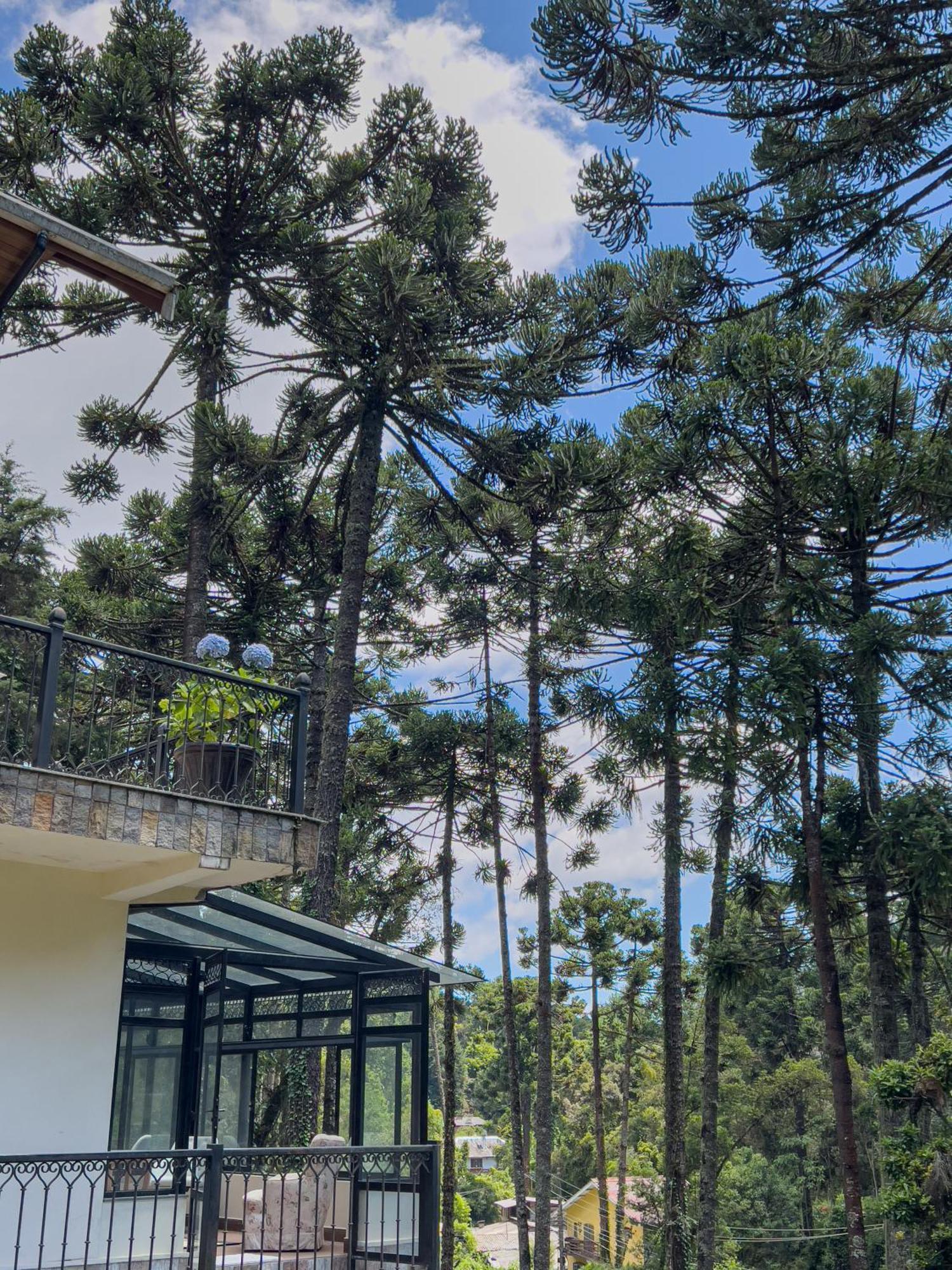 Hotel Recanto Do Pepe à Campos do Jordão Extérieur photo